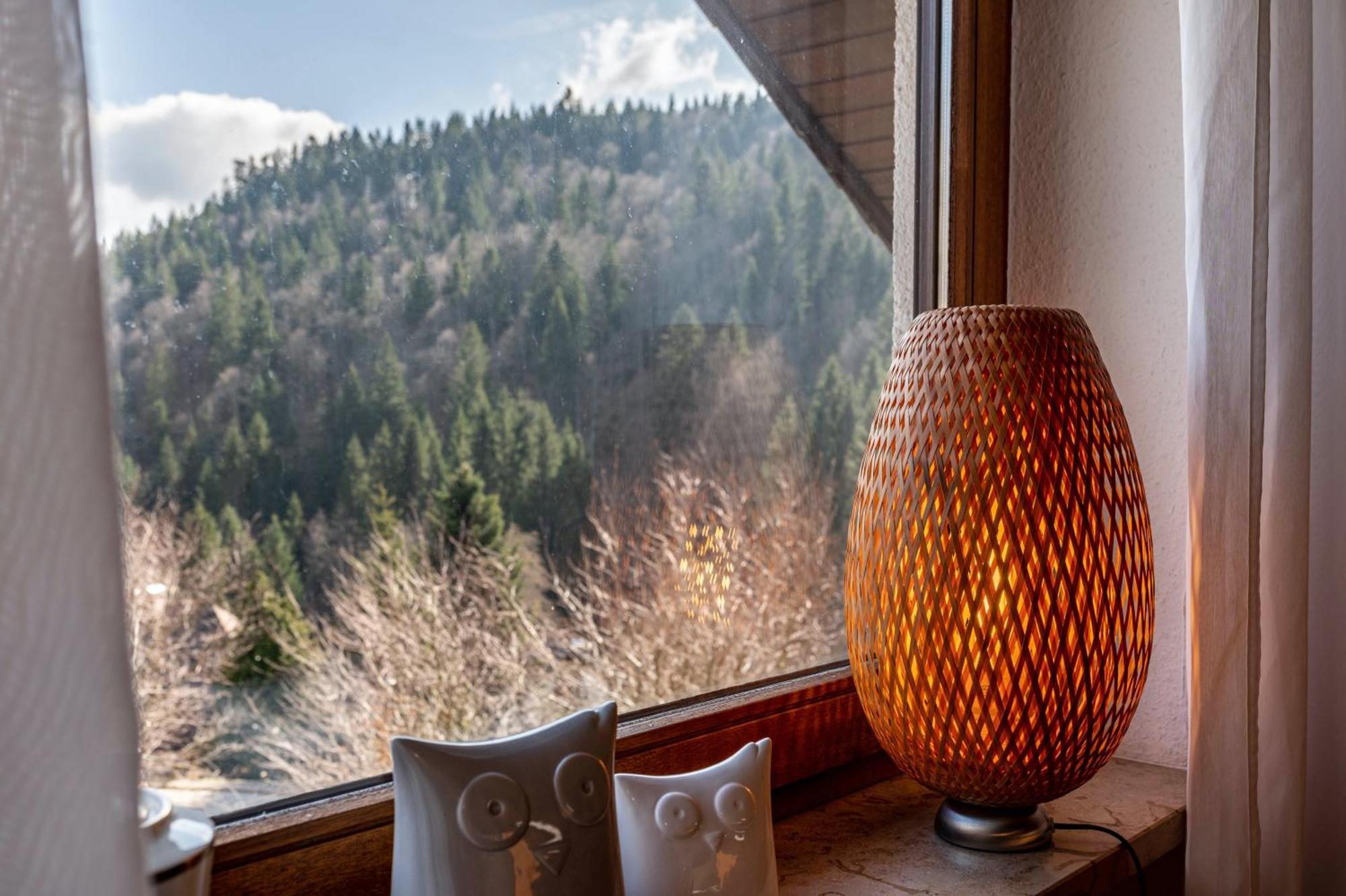 Haus Akelei Lägenhet Todtmoos Exteriör bild
