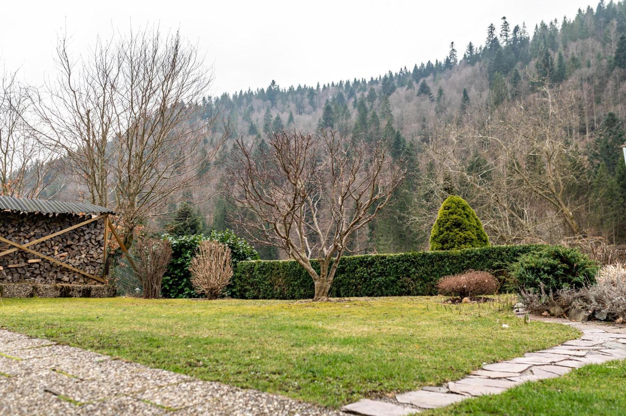 Haus Akelei Lägenhet Todtmoos Exteriör bild