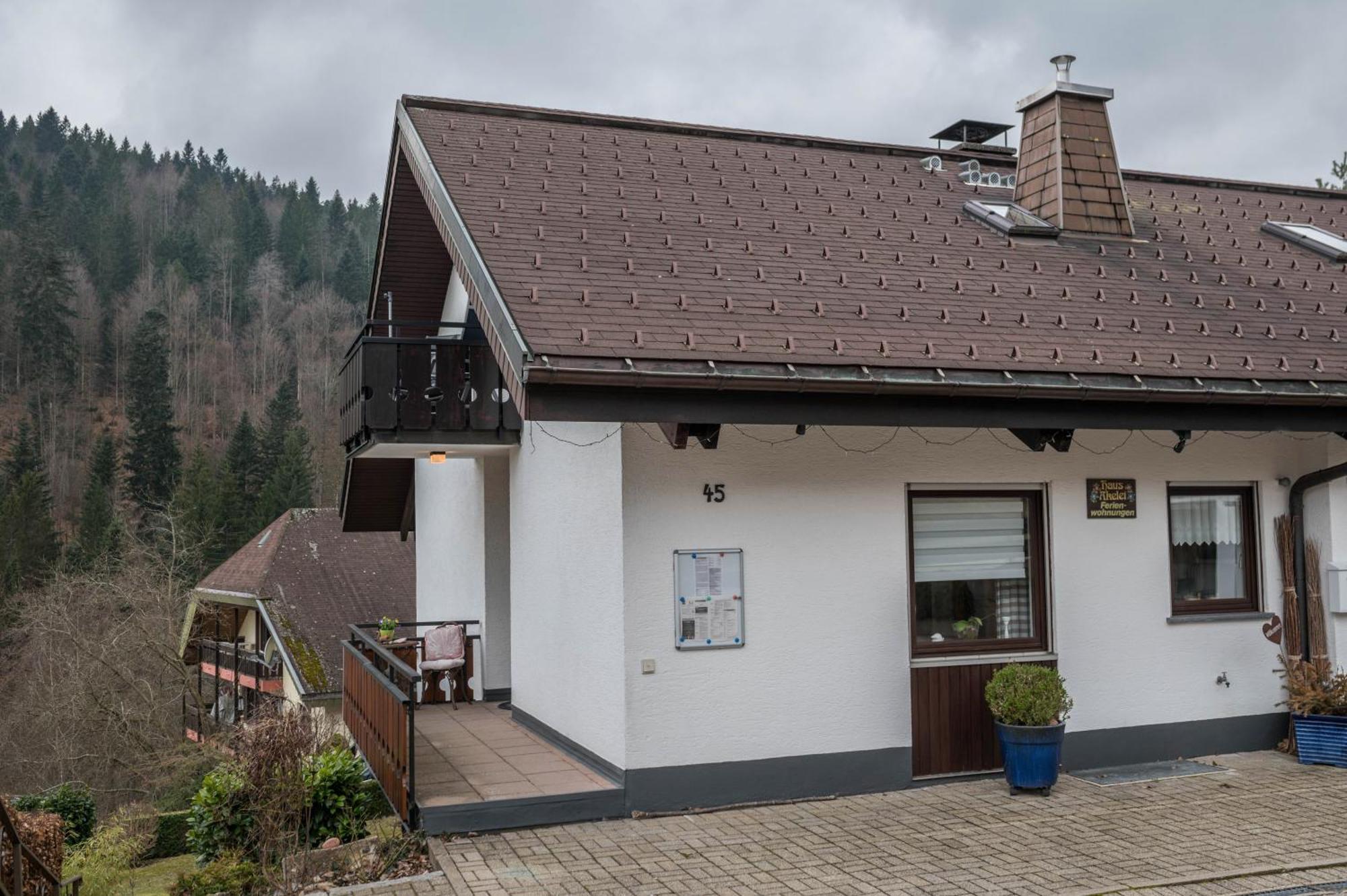 Haus Akelei Lägenhet Todtmoos Exteriör bild