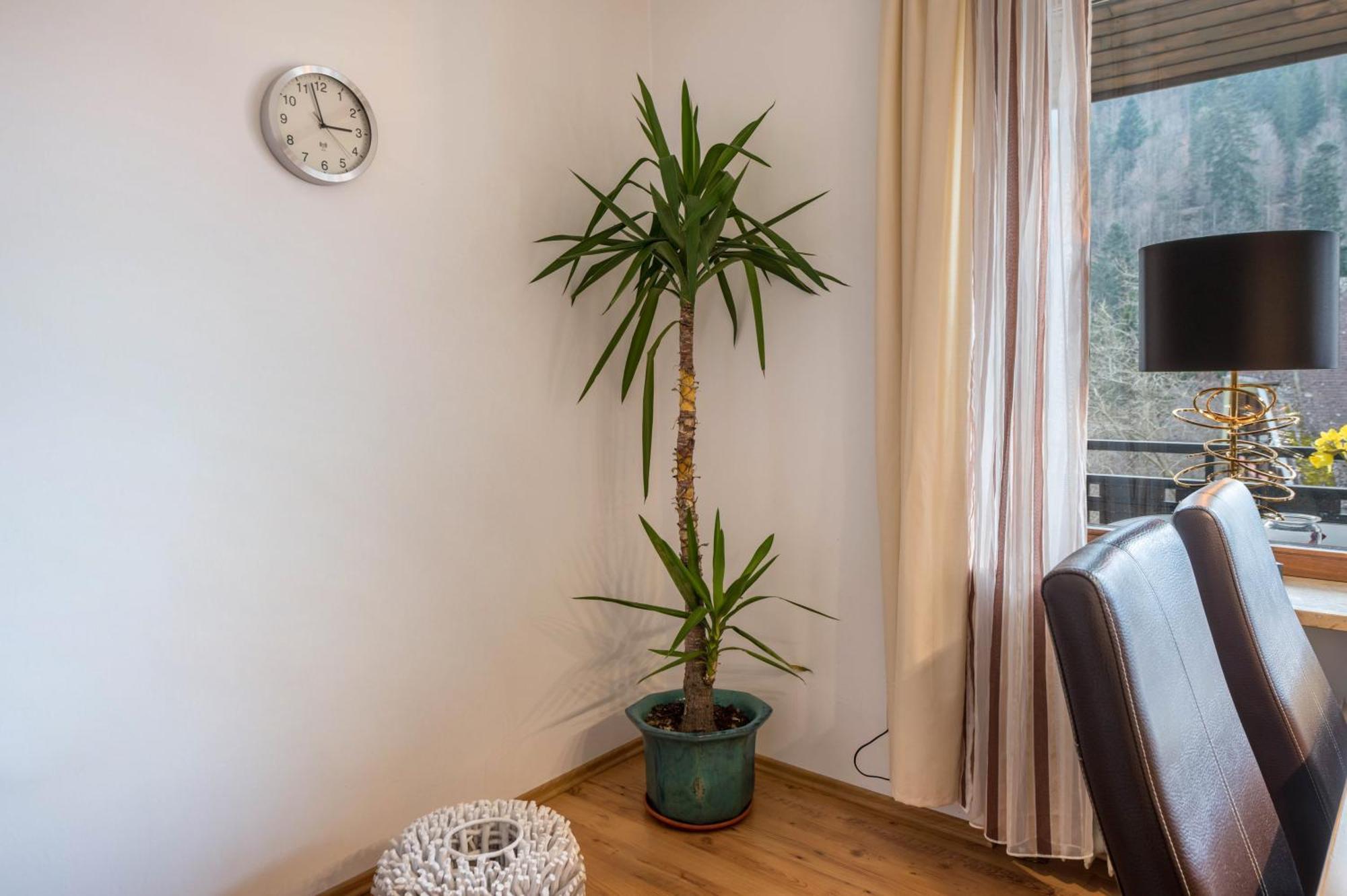 Haus Akelei Lägenhet Todtmoos Exteriör bild