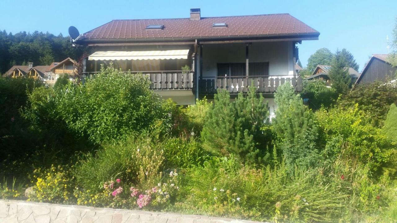 Haus Akelei Lägenhet Todtmoos Exteriör bild